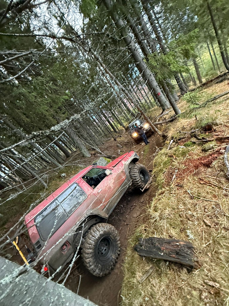 Wild Trails Orăștie - Off-road