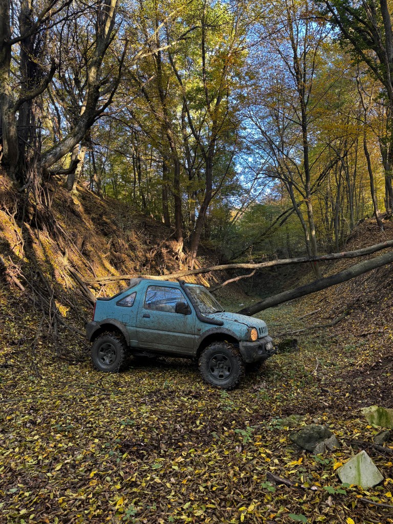 Wild Trails Orăștie - Off-road